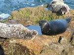 25_2004-1011-1717-39A-EM.jpg